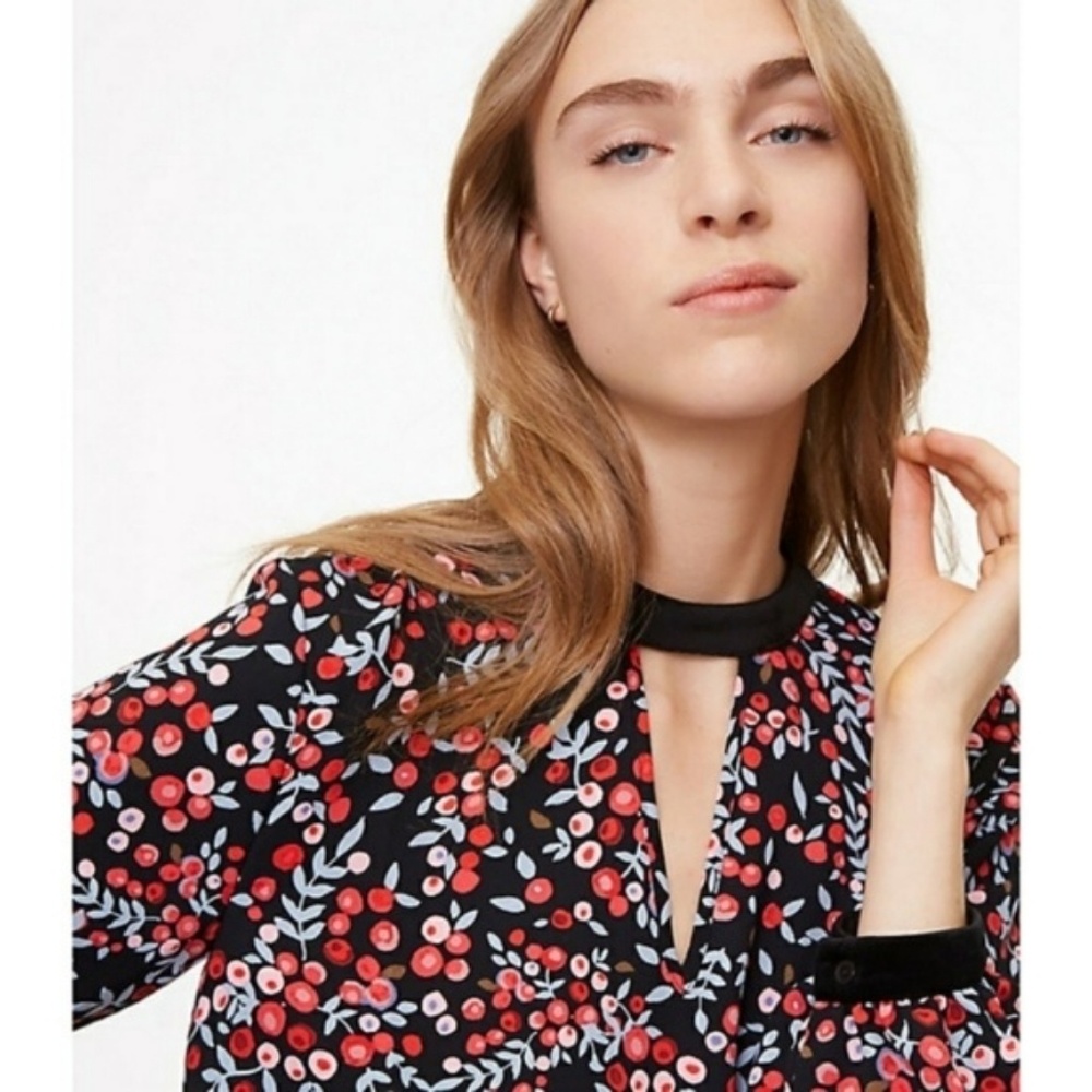 Ann Taylor Velvet Trimmed Floral Print Dress